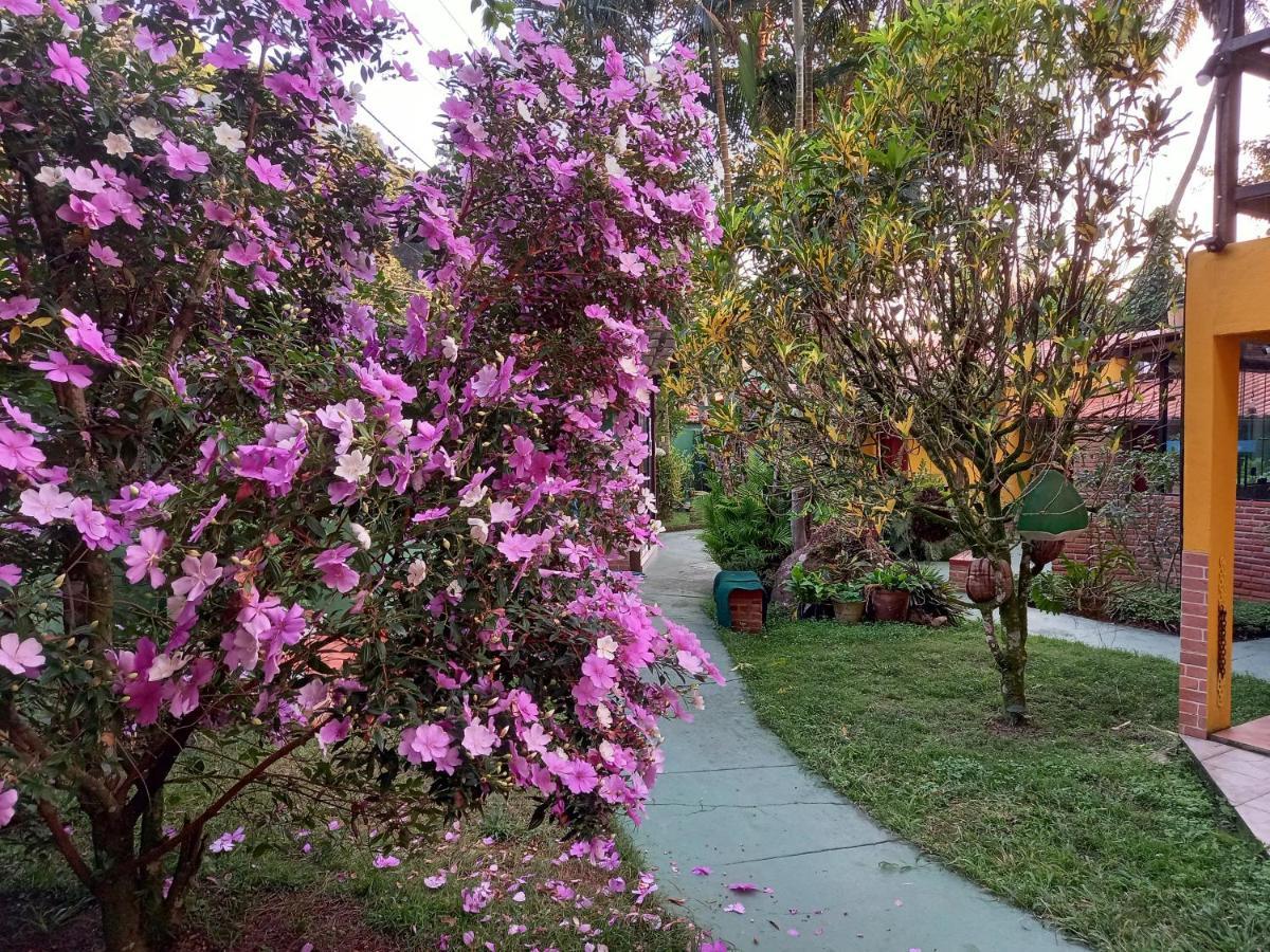 Recanto Das Flores Lofts - Ilha Grande Rj 外观 照片