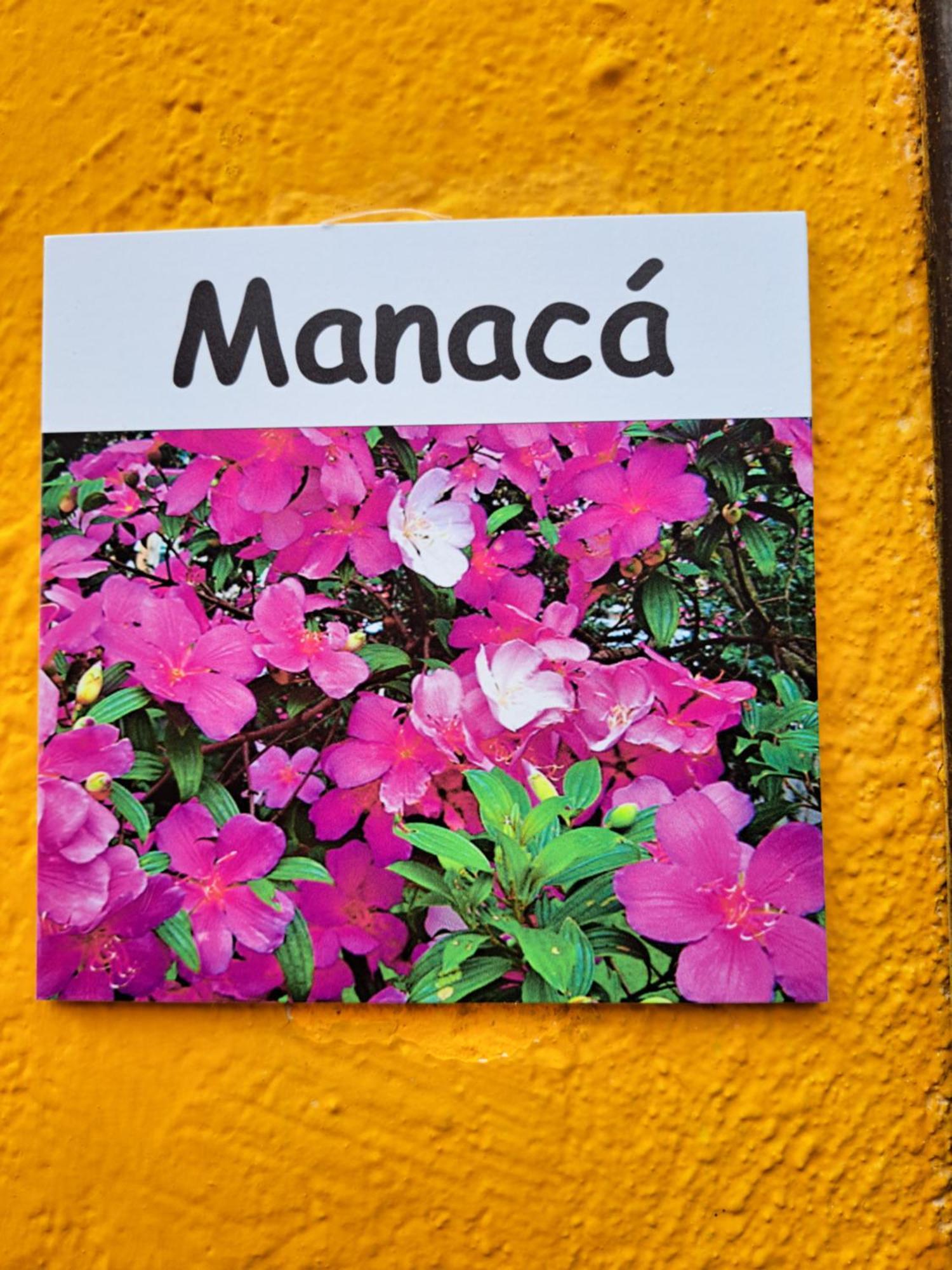 Recanto Das Flores Lofts - Ilha Grande Rj 外观 照片