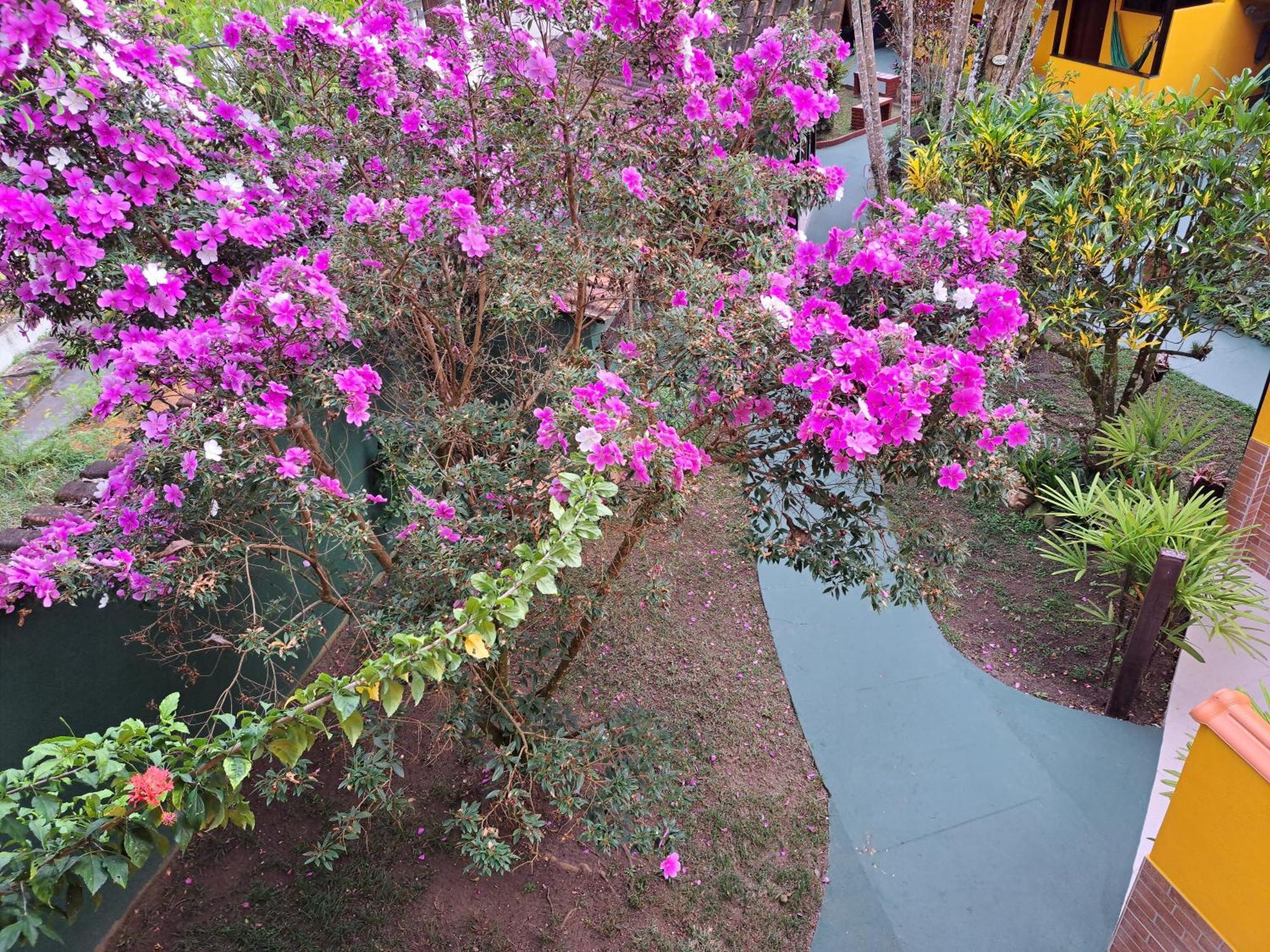 Recanto Das Flores Lofts - Ilha Grande Rj 外观 照片